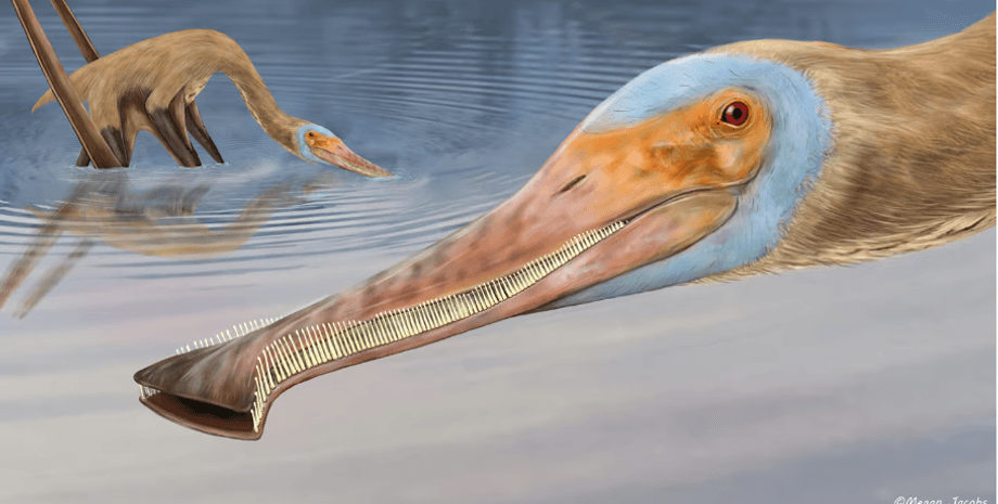 динозавр, питание, исследование