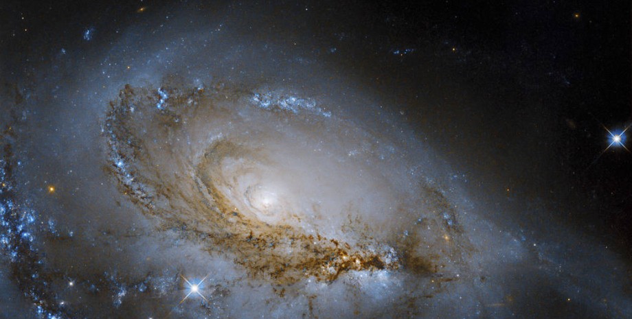 галактика NGC 1961