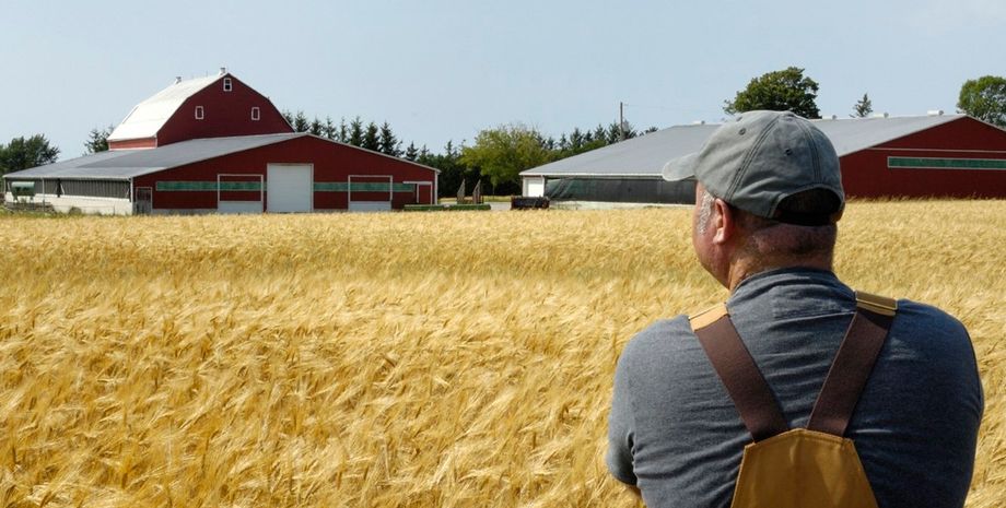 Фото: открытые источники