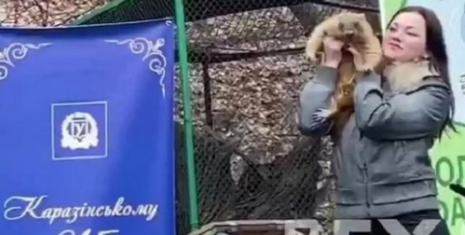 Фото: Скриншот