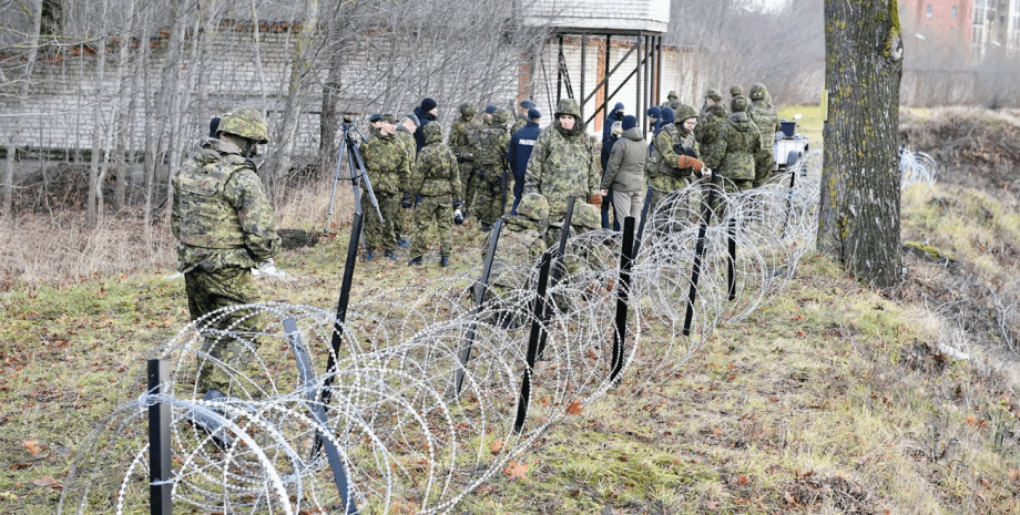 Эстонские пограничники осматривают границу