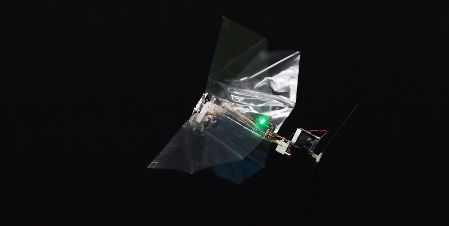 Фото: Делфтский технический университет