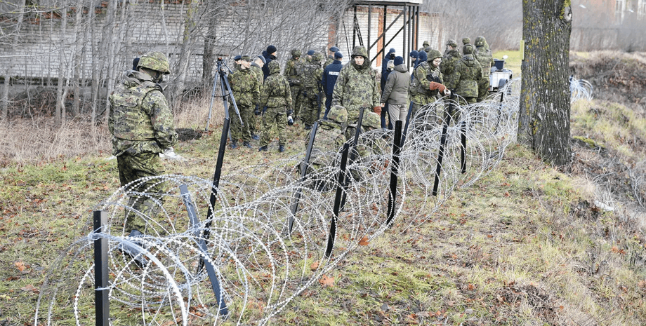 Естонські прикордонники оглядають кордон