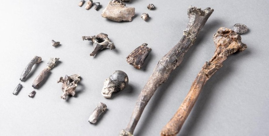 Фото: Christoph Jaeckle