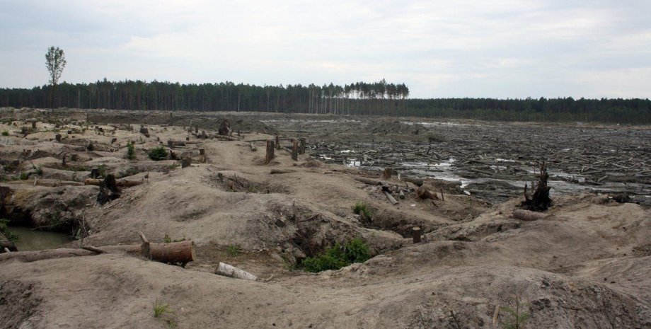 Фото: УНИАН