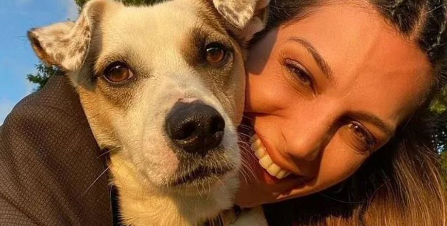 Джек-рассел-терьер, которого зовут Сириус, компенсация, суд, травма, депрессия, тревожность, курьезы, интересные истории