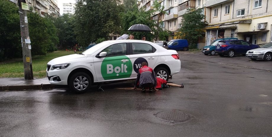 Змея, Киев, такси