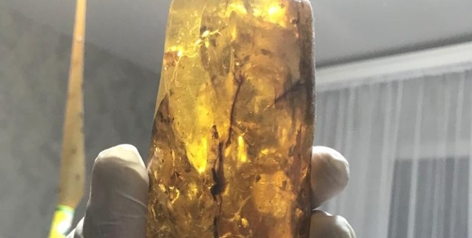 янтарь, ГПСУ