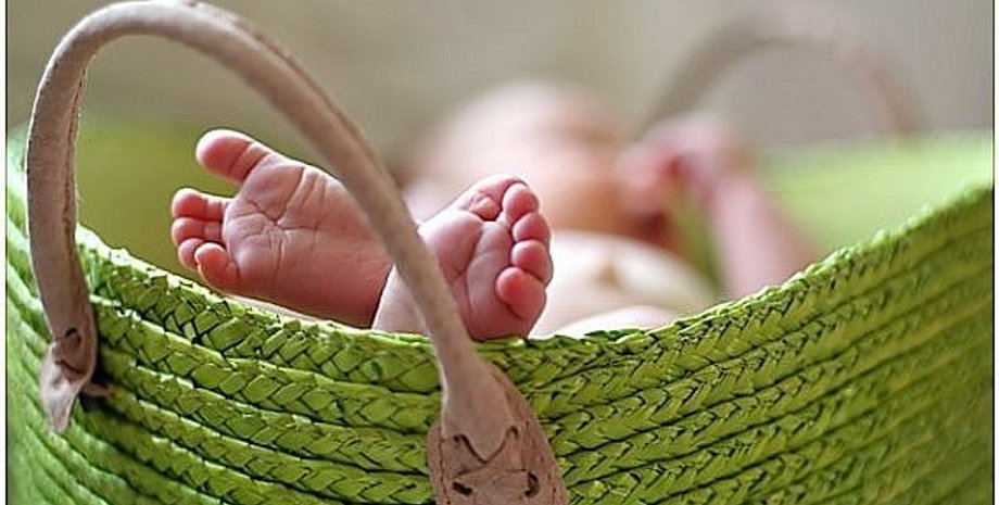 Фото: polblog.ru