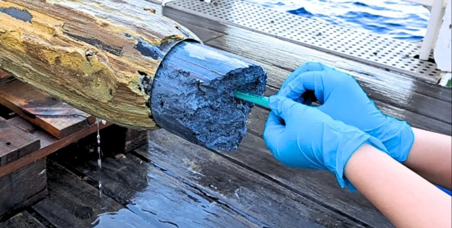 синій слиз сліди життя