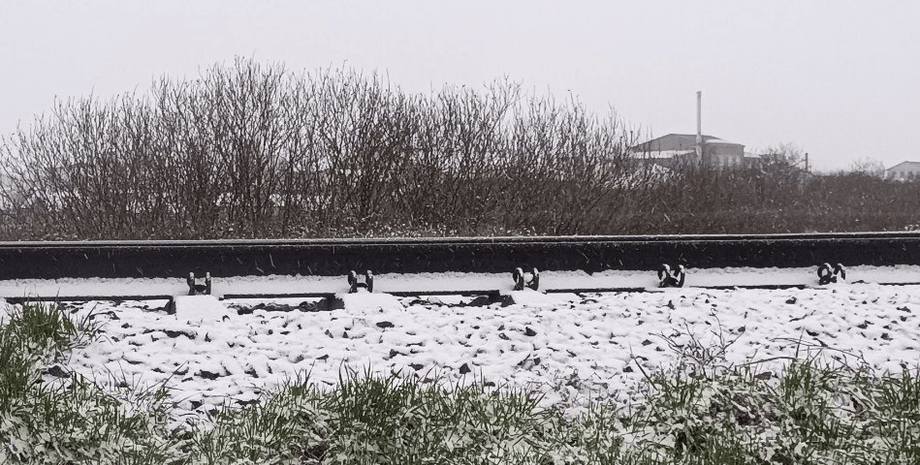 сніг, сніг в Україні, сніг на Волині, погода в Україні