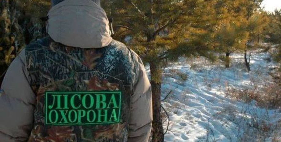 Фото: kyivcity.gov.ua