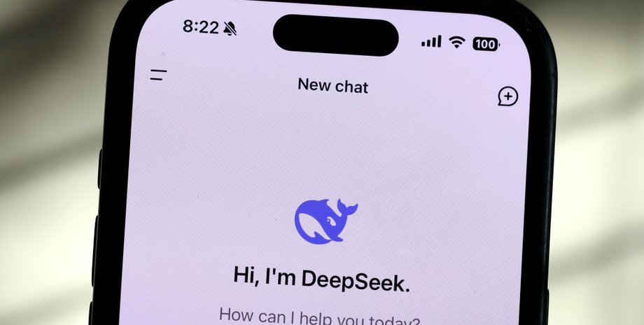 Работа DeepSeek