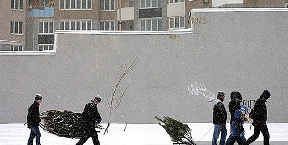 Фото: Дмитрий Стойков, Фокус