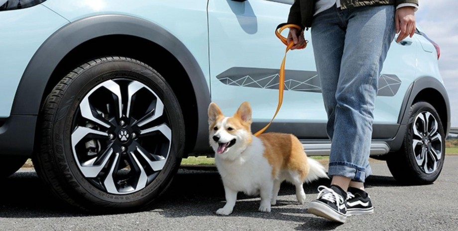 Honda аксессуары для собаководов