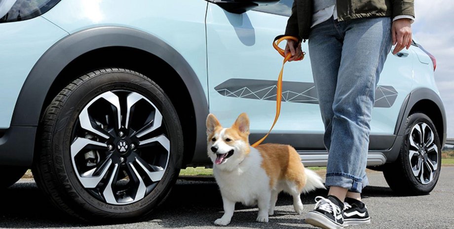 Honda аксессуары для собаководов