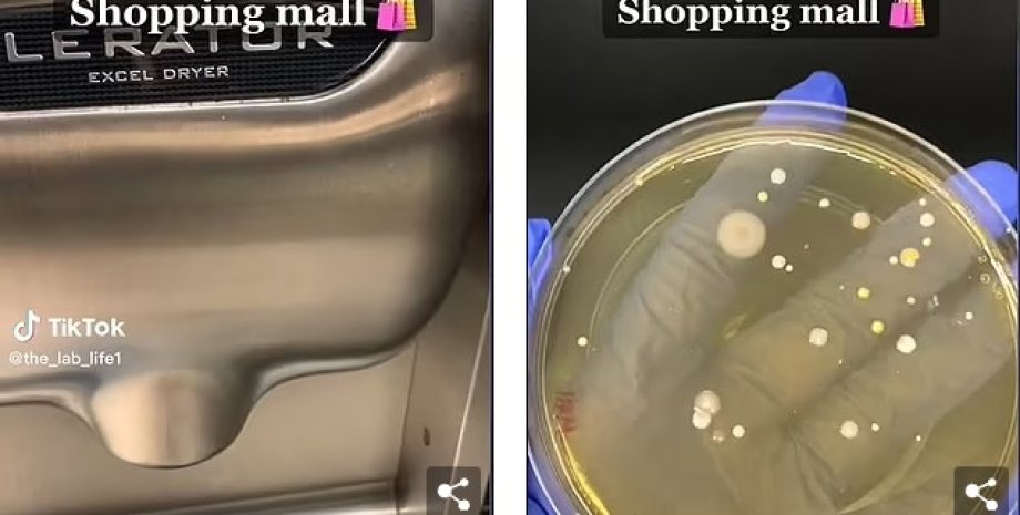 мікроби в туалеті, зразки