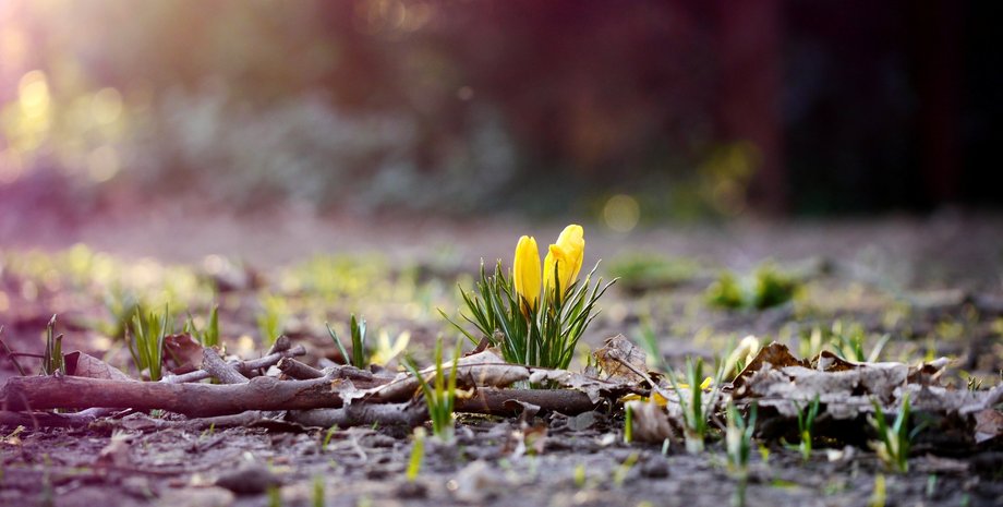 Фото из открытого источника