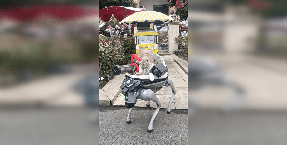 робот-пес, кролик у роботі-псі, робот-собака, китайський робот-собака, кролик у роботі