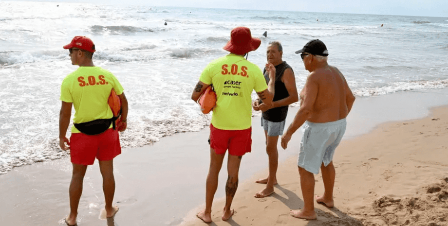 Морские слизни Glaucus atlanticus в Испании