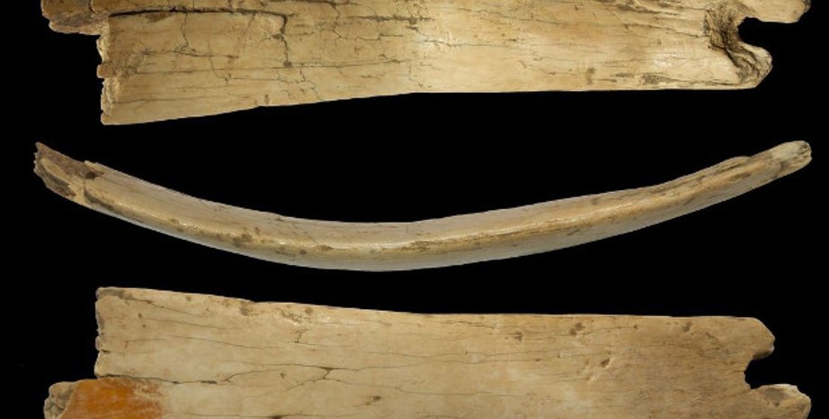 Институт археологии и этнографии СО РАН