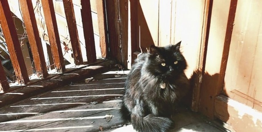 Фото: facebook Bulgakov museum in Kyiv