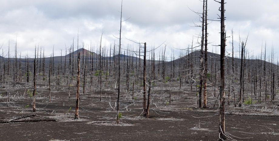 Фото: Край вулканов