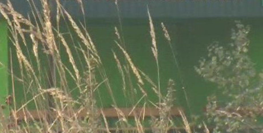 Фото: Суспильне Волинь