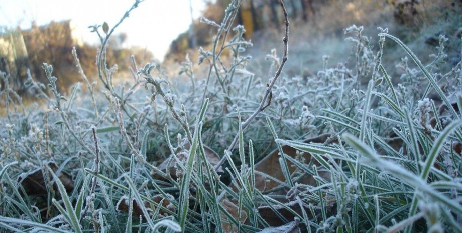 погода в Україні, прогноз погоди, точний прогноз погоди, прогноз погоди на місяць, Український гідрометеорологічний центр, синопник, синоптикиня Діденко, похолодання в Україні, потепління в Україні