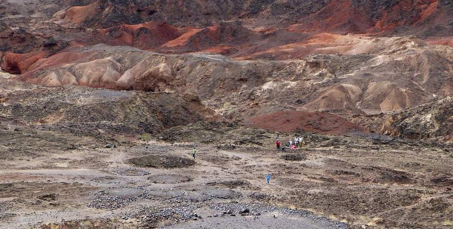 Фото с места раскопок. KATHERINE GRILLO