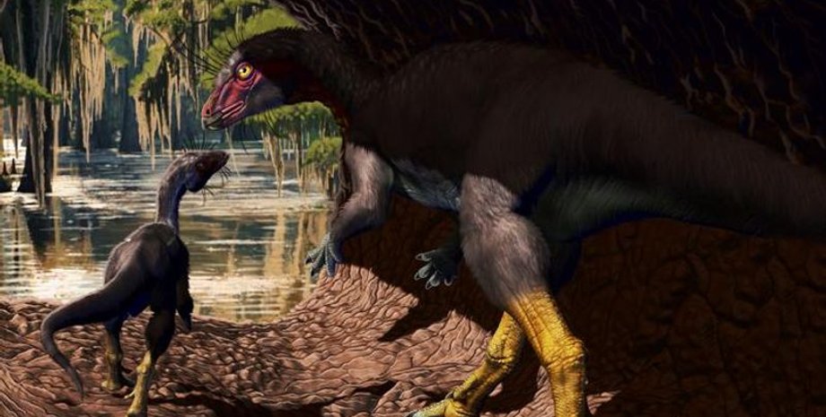 Fona herzogae, нора, палеонтолог, окаменелость, открытие, особенность, наука, палеонтология, динозавр, вид, территория, нора, собака, размер, исследование