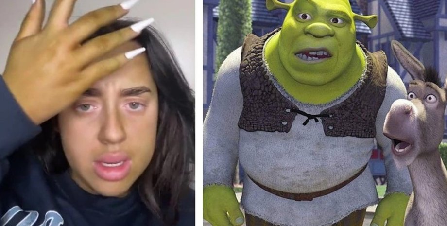 Шрек, косметика, просроченная косметика