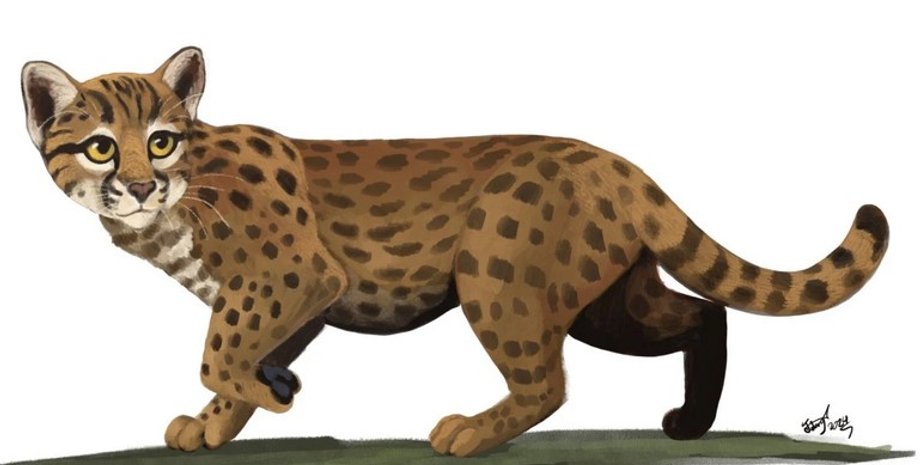 найменша кішка у світі