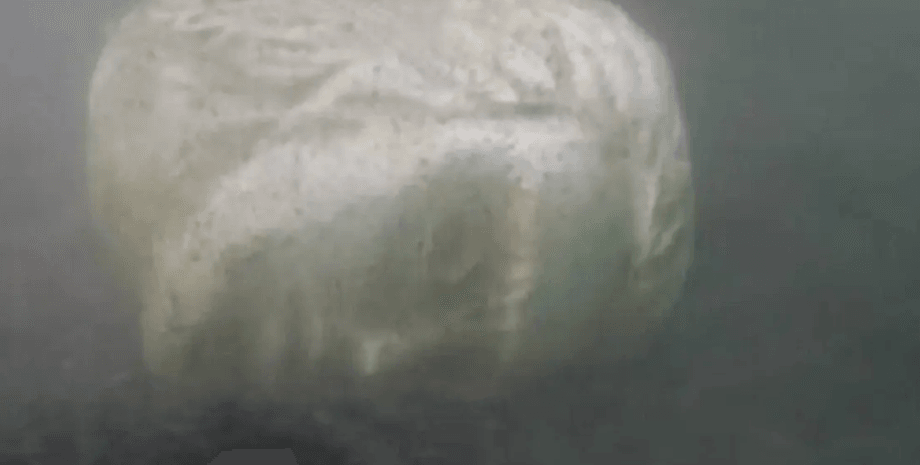 озеро, Калигула, Неми, голова, статуя, император, корабль, судно, скульптура, рыбаки, затонувший корабль, археология, история