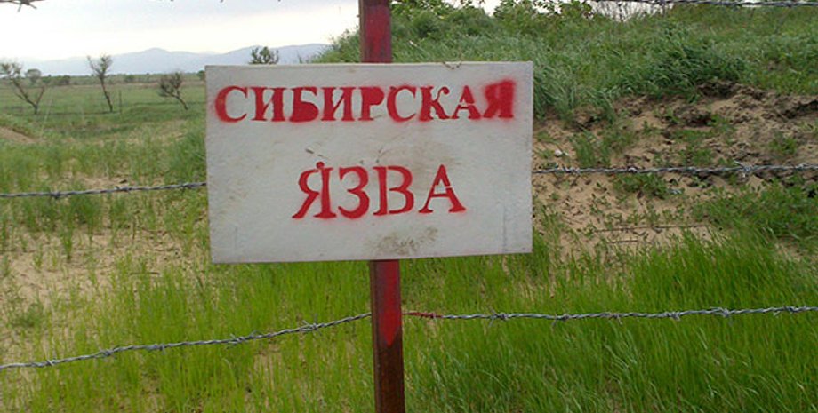 Фото: agriculture.by