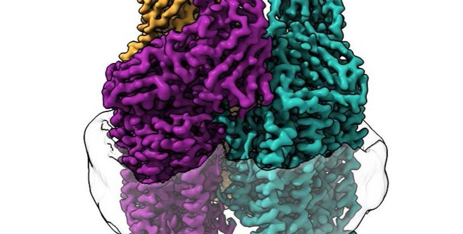 С помощью нового метода, ученые смогли подробно изучить структуру фермента метанотрофной бактерии