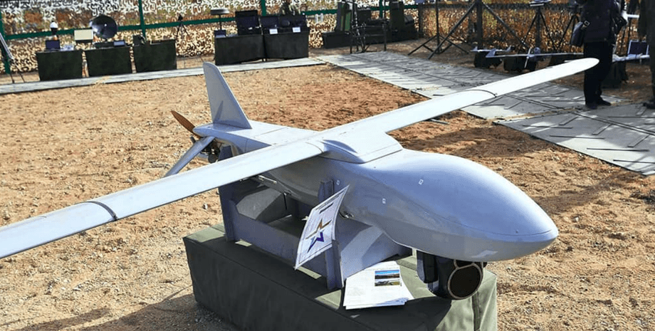 нутрощі бпла