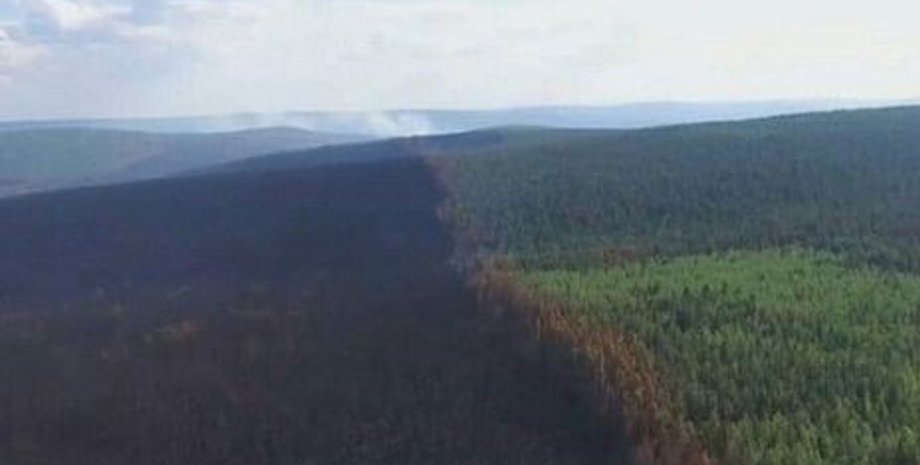 Фото: Estr/Twitter