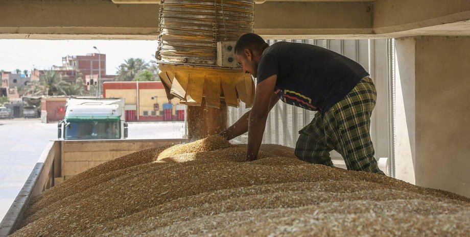 Российское зерно, Египет, Россия, зерно, пшеница, импорт зерна, экспорт зерна, экспорт зерна