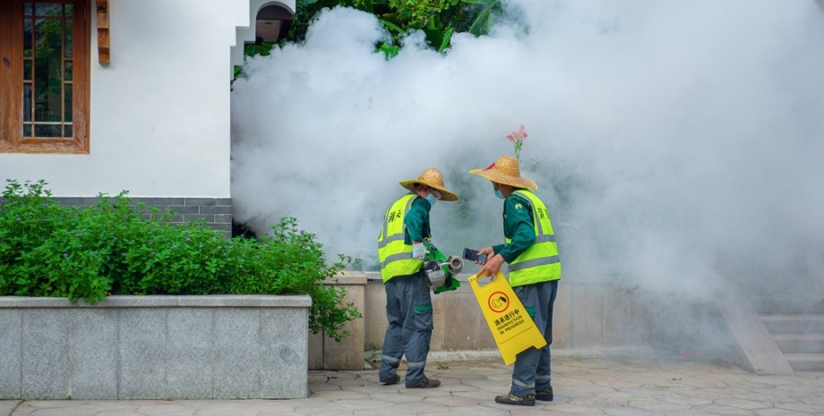 Борьба с вирусом чикунгунья в Китае