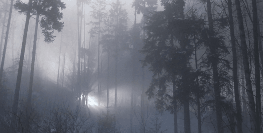 Світний об'єкт у туманному лісі, схожий на можливе спостереження НЛО, кадри з документального фільму