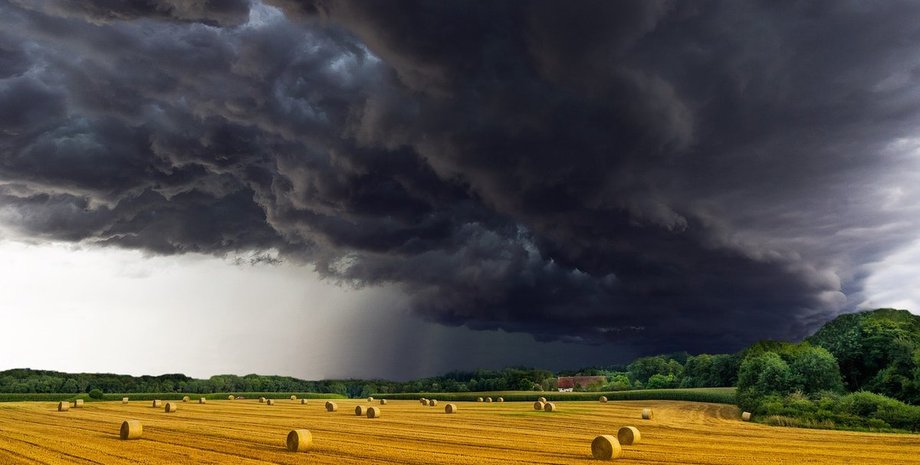 Фото: twitter.com/greenpeacemag