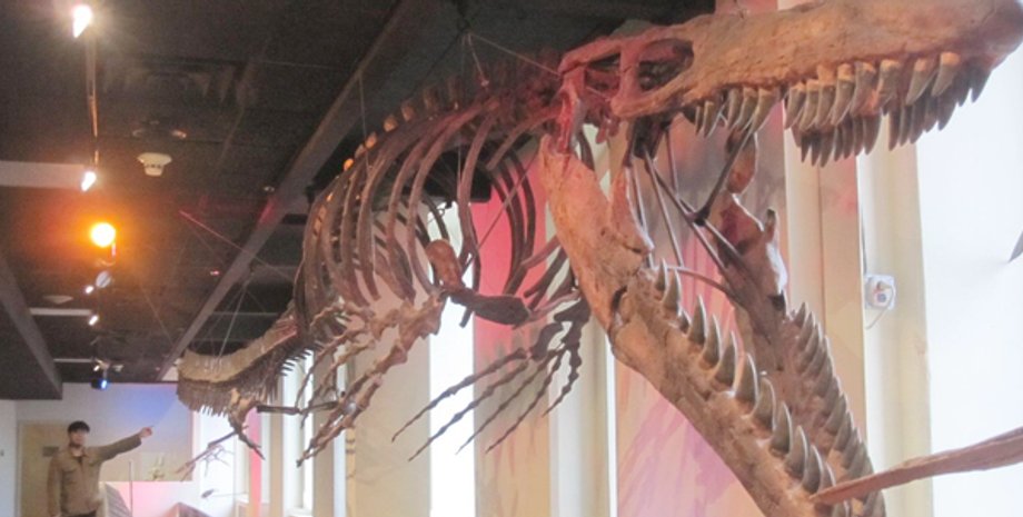 Ученые нашли нового T. rex: но он жил не на суше, а в океане Морской монстр длиной с автобус оказался новым видом Tylosaurus rex