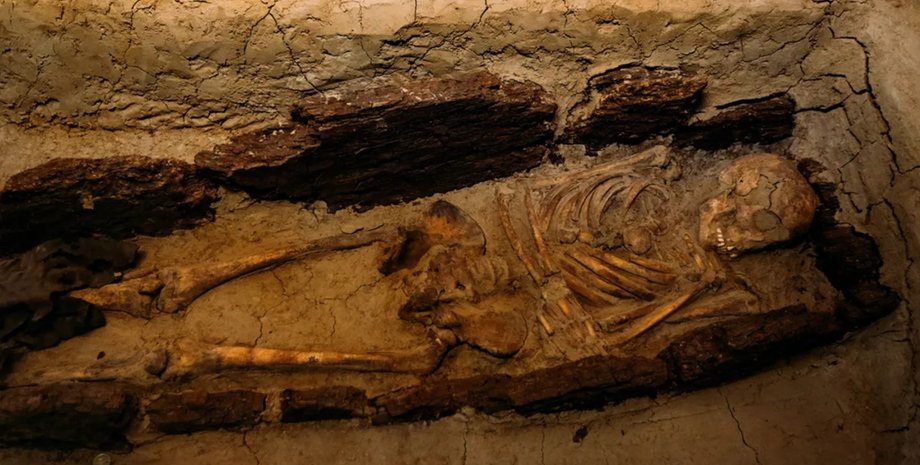 останки, археология, древний вирус, герпес