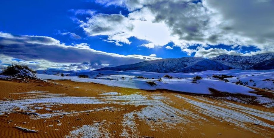 Источник: twitter.com/FADELZOUBIR