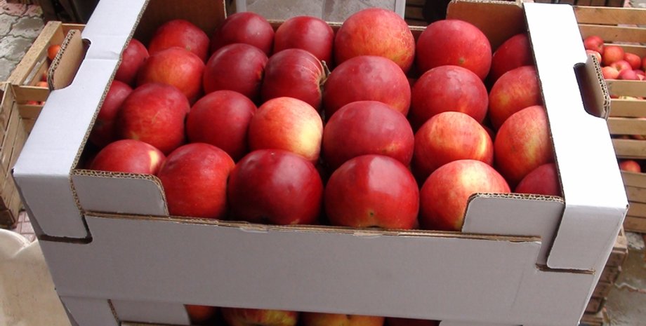 Фото: mosvedi.ru