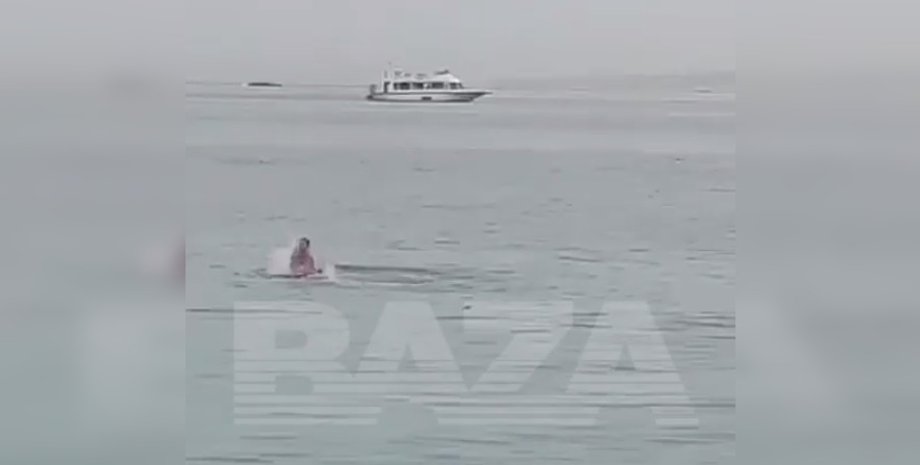 Владимир Попов Египет, Владимир Попов акула, съела акула, нападение акулы египет