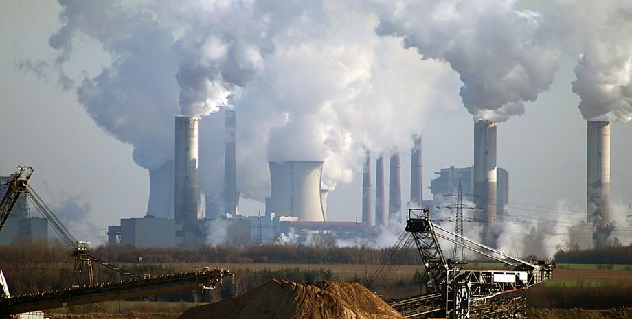 Фото: hiveminer.com