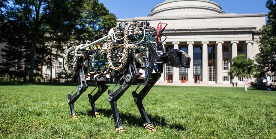 MIT, проривні технології, 2021, арт-об'єкт, фото
