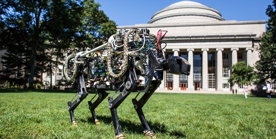 MIT, прорывные технологии, 2021, арт-объект, фото